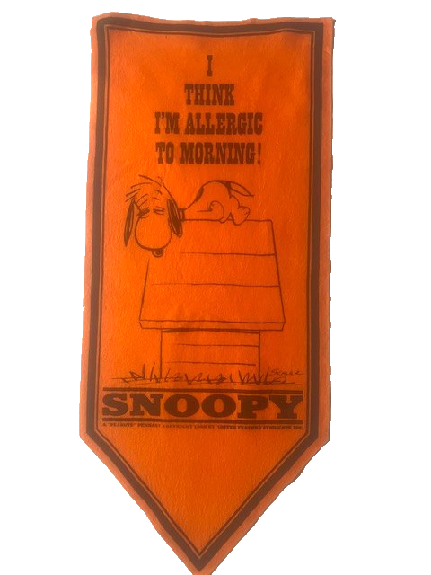 Vtg 1968 SNOOPY Peanuts Orange Felt Banner United Features