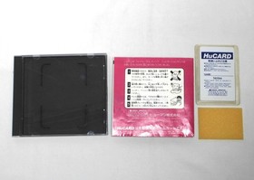 NEC PCEngine -- FIRE PRO WRESTLING COMBINATION TAG -- JAPAN Game. 11065