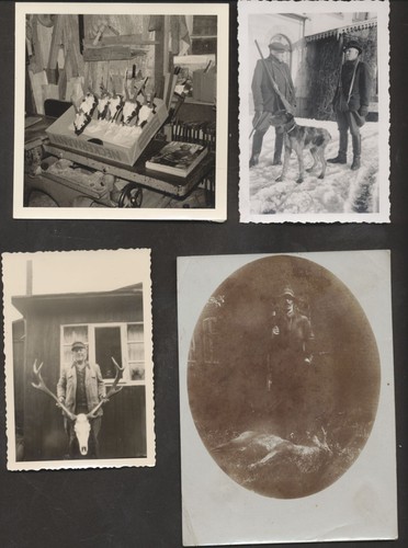 Jagd ,  Jäger , Gewehr , Jagdhund  , Geweih ....  4  alte Fotos - Picture 1 of 2