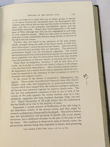 La histología normal y patológica de la boca vol II histología 1918 2a edición - Imagen 9 de 11