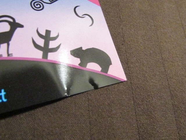 SAGGIO УХАЖИВАЯ ЗА СЕРДЦЕМ МИРА - РОДНОЙ АМЕРИКАНСКИЙ ФЛЕЙТА ПУТЕШЕСТВИЕ Б/У CD - Изображение 4 из 4