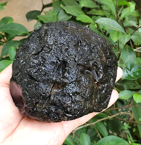 Giant 720G Natural Agni Manitite Eruption of Talang Volcano Tektite 100% - Picture 8 of 10