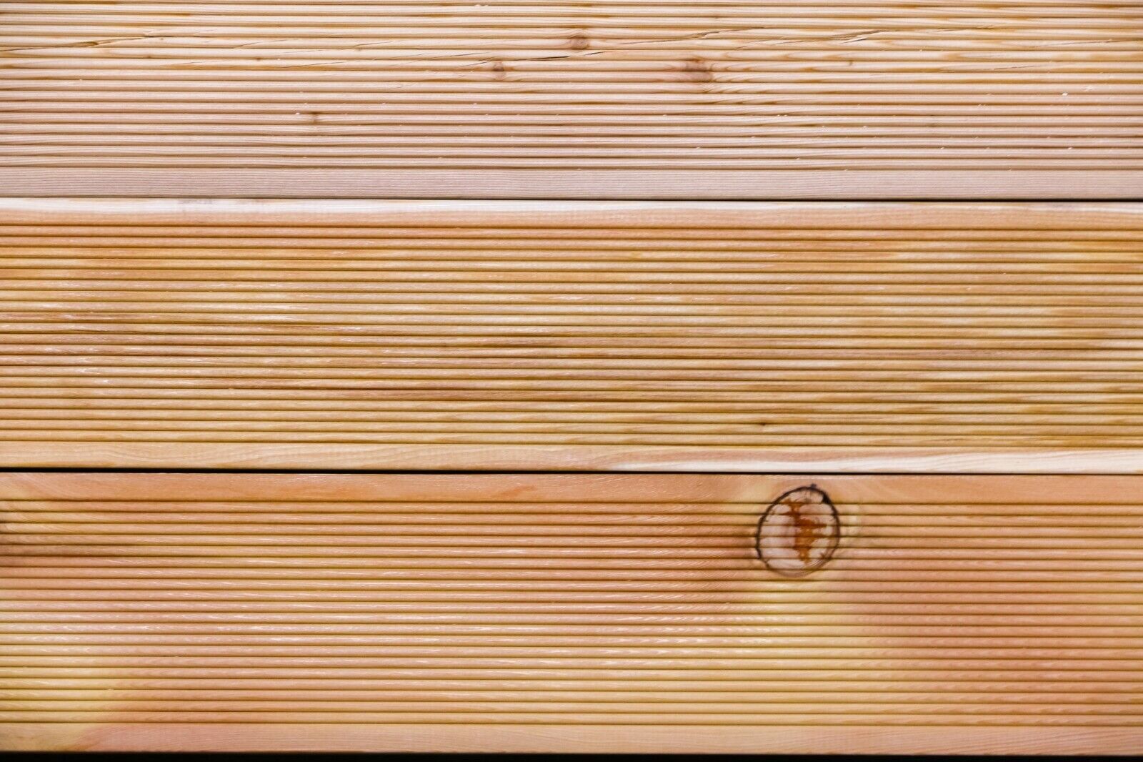 Bild 49 von 51