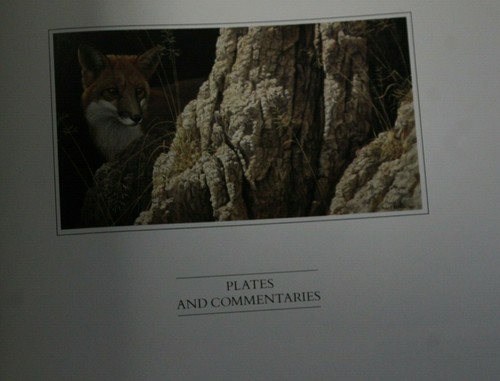 Die Kunst des Robert Bateman von Ramsay Derry Hardcover Buch mit Schutzumschlag - Bild 7 von 9