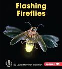 Flashing Fireflies by Laura Hamilton Waxman (Hardback, 2016)
