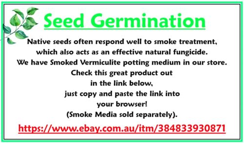 5 X NATIVE LEMONADE SEEDS-FRUIT TREE, BUSH TUCKER-FRUIT TREE GARDEN - Picture 8 of 8
