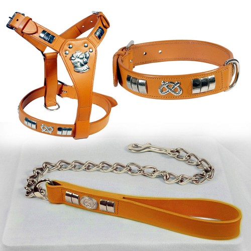 STAFFORDSHIRE BULLTERRIER HUNDEGESCHIRR * HALSBAND & KETTENLEINE KOMBI SET CHROM PASSFORM - Bild 5 von 6