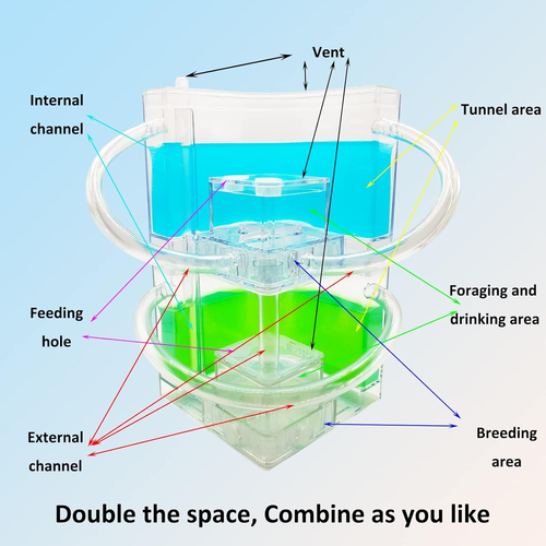 Ant Farm Large 2 Layer Gel Ant Colony Ecosystem Terrarium, Ant Habitat Science L - Picture 6 of 8