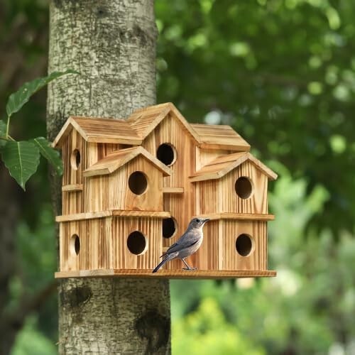 Bird Houses for outside 10 Hole Bird House Room for 10 Bird Families Large Bird - Picture 1 of 6