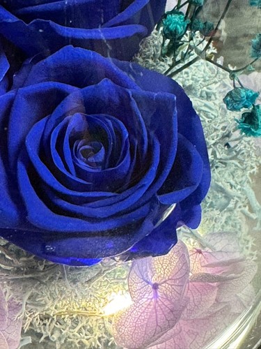 Mothers Day Mom Gift for her, Preserved Real Flower Rose in Large Glass Angel... - Picture 14 of 35