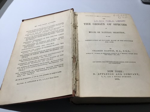 Rare Vintage HB: The Origin Of Species By Charles Darwin 6th ed 1872 - Foto 3 di 4