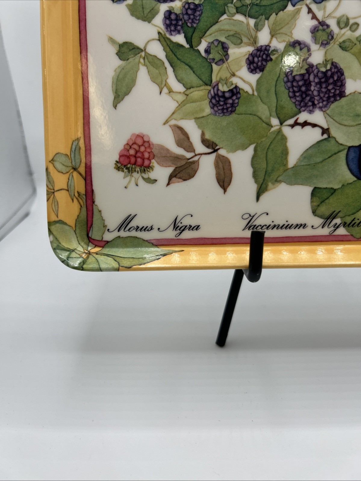 Tray Atelier Michele Trumel Design Imports Melamine Italy 10" x 12" Berry #6