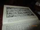 Bild 9 von 10