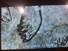 Picture 6 of 8