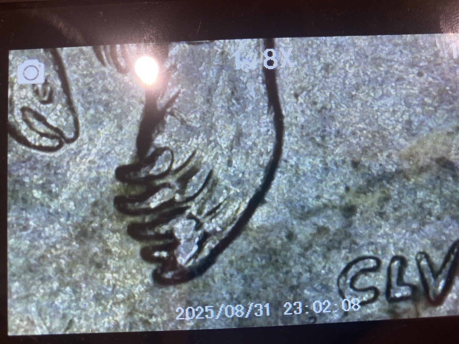 Picture 6 of 8