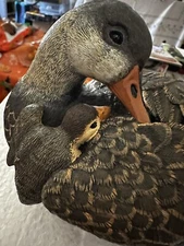 Duck Desktop Mallard Hen With Ducklings  by HERCO GIFT PROFESSIONAL 7.5x4"