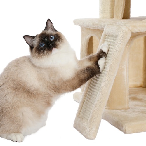 PAWZ Road Kratzbaum XXL Katzenkratzbaum Holz Katzenbaum Sisal Kletterbaum Stabil - Bild 66 von 190