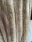 Foto 3 di 21