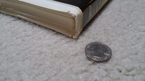 VHS, Disney, Squanto -- A Warrior's Tale, 1994, PG, 102 Minutes - Picture 7 of 12