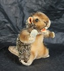 Foto 12 di 12