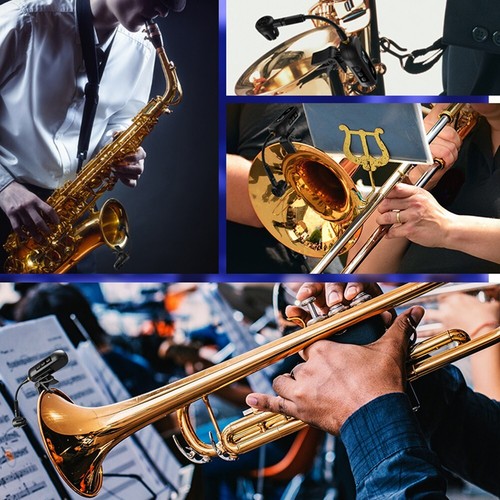 Rechargeable Wireless Saxophone Microphone System for Live Performances - Picture 6 of 14