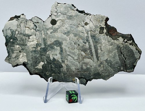 PIZHANKA 134g RARE Iron Meteorite Slice IMCA Sellers, Awesome troilite inclusion - Bild 2 von 22