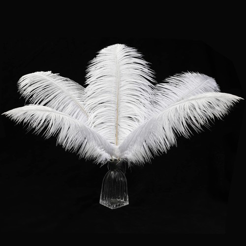 12pcs White Ostrich Feathers 12-14" Wedding Centerpieces Vase Home Decor