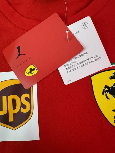 NEU NEU MIT ETIKETT HERREN SELTEN SCUDERIA FERRARI TEAM F1 2018 SHIRT PUMA MISSION TRIKOT LARGE - Bild 18 von 19