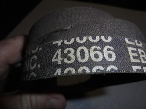 Murray Blade Drive Belt #43066 - Picture 3 of 3