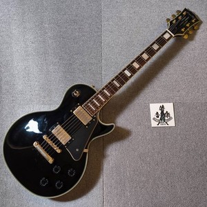 Grass Roots Les Paul | eBay