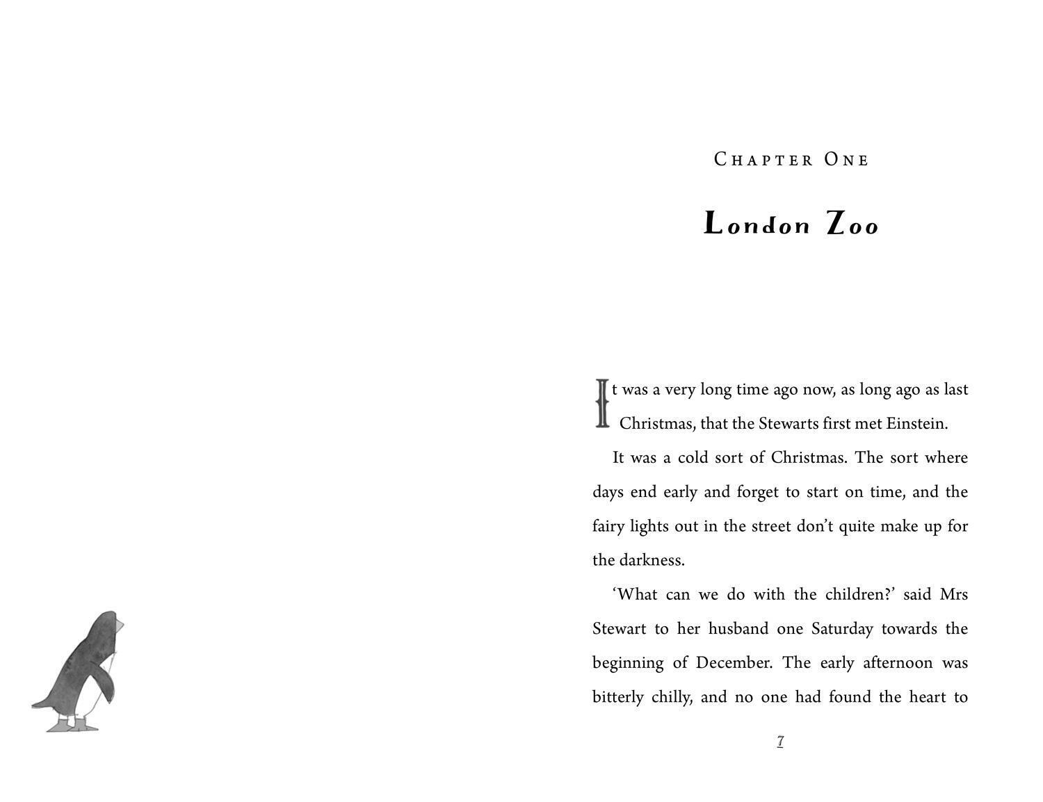 Thumbnail - Einstein The Penguin | Iona Rangeley | Taschenbuch | 240 S. | Englisch