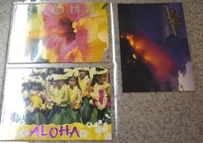 3 x HAWAII COLOR POSTCARDS (4" x 6") "ALOHA Flowers and Volcano Lava," Brand New