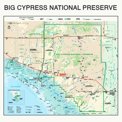 Florida National Park Bandanna 2-Pack Bundle Everglades Big Cypress Map Nature - Picture 3 of 3