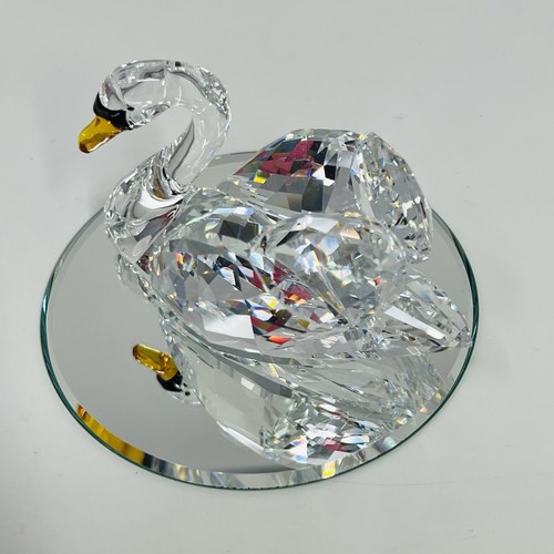 Swarovski 2017 SCS Jubilee Edition Madre del Cigno e Cigni - INSEGNA ARTISTA - 5233542 - Foto 12 di 24
