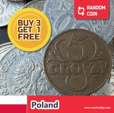 Poland Coin | 1 Random Collectible Old Polish Coin for Coin Collecting