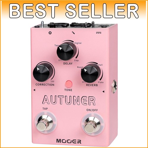 Precise Pitch Correction and Reverb Delay Vocal Effects Processor for Guitarists