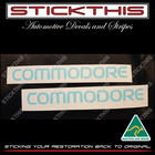<!--F#f_0-->Holden VR VS SS S - COMMODORE Body Guard Red Mould Moulding Trim Paint Masks x2<!--F/-->