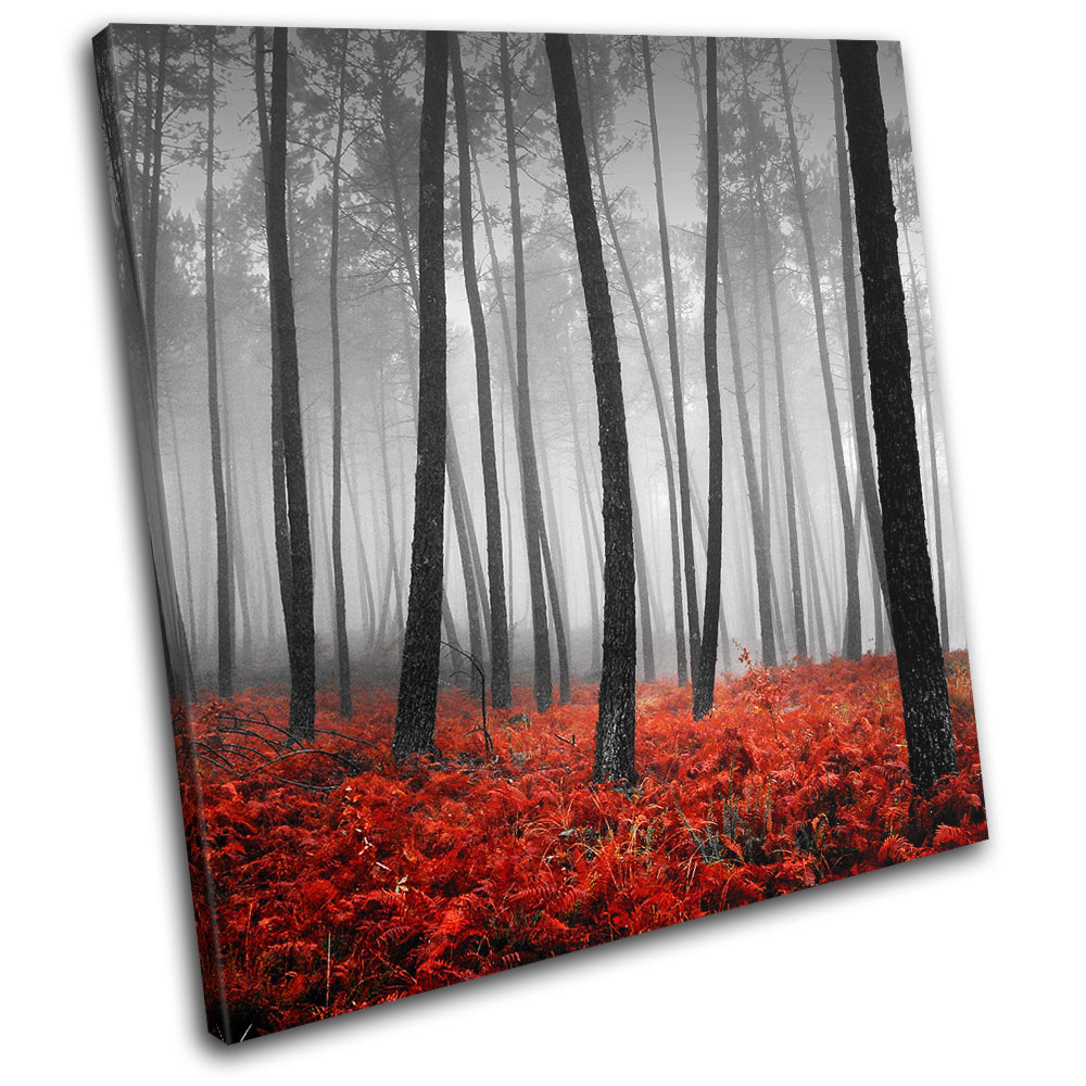 Stunning Red Forest Floor Landscapes SINGLE CANVAS WALL ART Picture Print