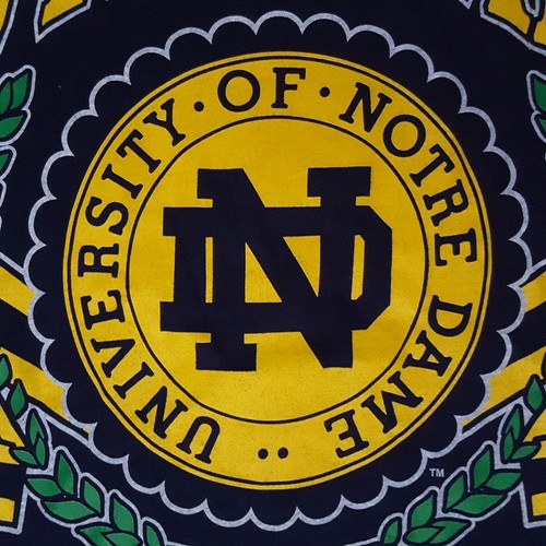 NUEVO CON ETIQUETAS NOS Camiseta Vintage Años 90 UNIVERSIDAD DE NOTRE DAME Azul L Nutmeg Mills EE. UU. - Imagen 7 de 15