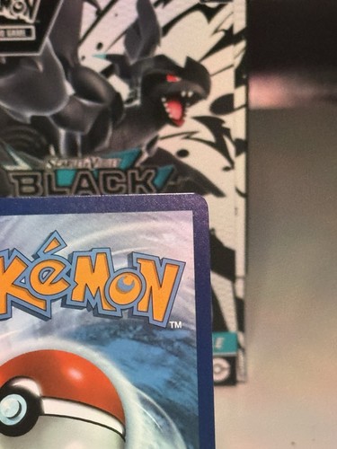 SEISMITOAD 105/086  Illustration Rare Shinji Kanda  SV: Black Bolt Pokémon - Picture 6 of 8