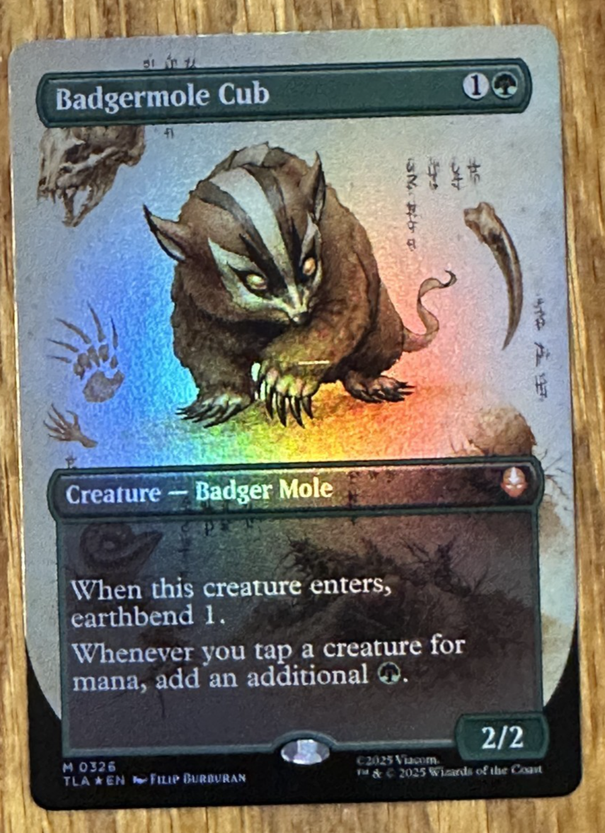 MTG Avatar: The Last Airbender, Badgermole Cub - Borderless Foil