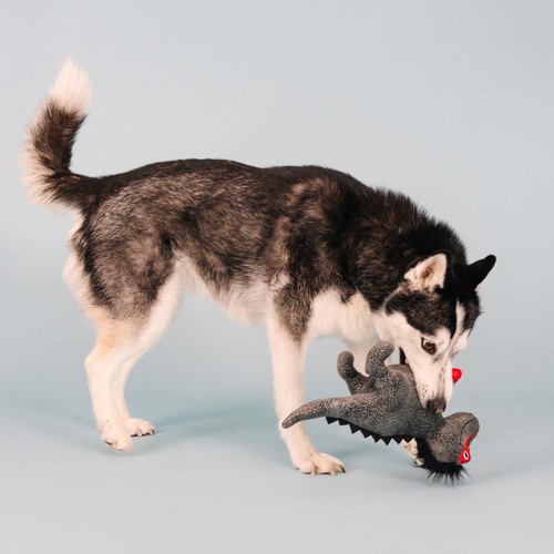 Studio Plush Dog Toy, Rocker Rex, Pet Collection (314214) - Picture 5 of 5