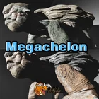 Megachelon Level 217 Male Clone ARK🦕 Survival Ascended ASA PVE PC/XBOX/PS
