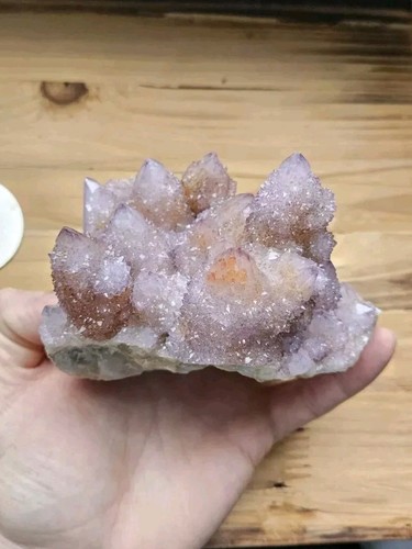 Sale! 4.25", 732 G, Purple Spirit Quartz Cluster, Cactus Quartz, South Africa - Picture 6 of 15