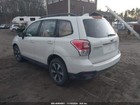 Foto 6 di 14