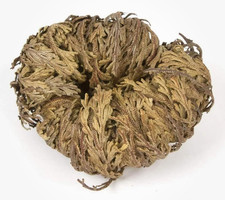 Rose of Jericho - Resurrection Plant/Flower - Selaginella Lepidophylla - Pack of