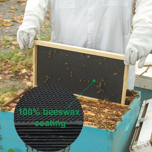 Bee Hive Foundations Sheets Waxed Coated Comb 9" Heavy 10 Pcs Honey 9" - Picture 3 of 6