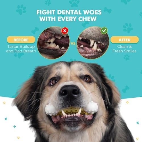 Gudog Chew Dog Toy, Set Of 3, Thermoplastic Rubber, New - Picture 7 of 8