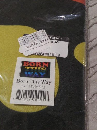 Born This Way Flag 3x5ft LGBTQIA LGBT Gay Pride Lady Gaga Rainbow Pride Flag - Picture 2 of 4