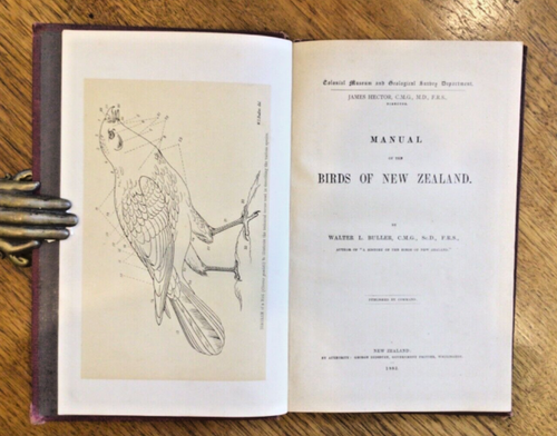 SCARCE (1882) 1st Edition: Walter L. Buller 'Manual of the Birds of New Zealand’ - Picture 5 of 9